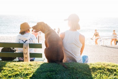 July 2023 is on track to be the hottest month on record, say experts