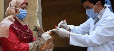 Avian flu reported in 108 countries across five continents, warns UN health agency