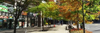 Toronto observes June as a Pride Month with a new heritage property plaque