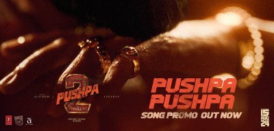 'Pushpa Pushpa' single from Allu Arjun's Pushpa 2 to be out on this date