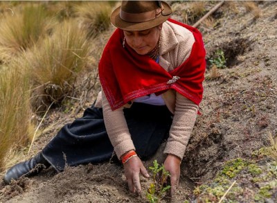 Break free from pollution, climate chaos and ‘biodiversity decimation’, UN chief urges