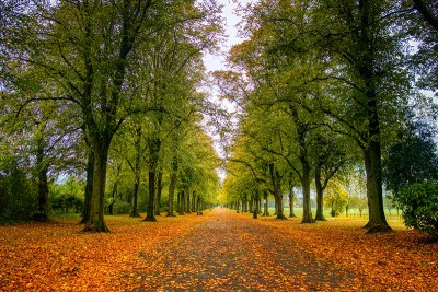 Spending time in nature is good for us, reveals study