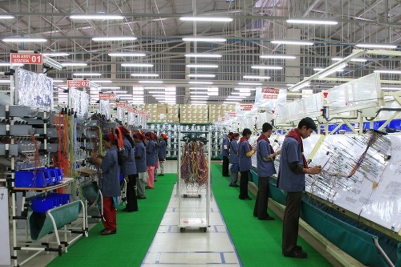 Motherson Sumi Wiring India Q2FY25 Net Profit Drops 3% To Rs 152 Cr ...