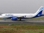 IndiGo marks 100 days of flying by enabling blood plasma transport in CarGo