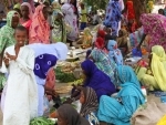 Aid community must scale up support to troubled Lake Chad region, urges senior UN official