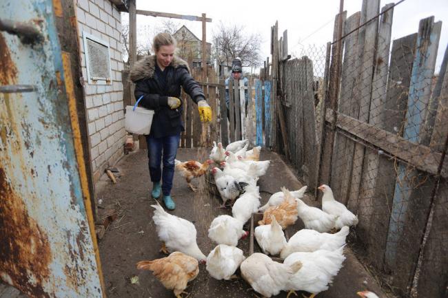 Farm families in eastern Ukraine forced into 'difficult choices' to survive: UN agency