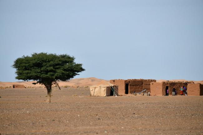 UN agriculture agency warns of water scarcity in North Africa and Near East