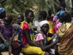 Security Council can and must do more to break the link between conflict and hunger, says UN relief officials