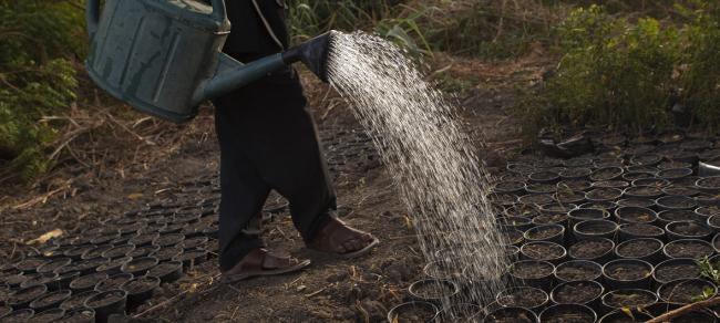 On World Day to Combat Desertification, UN shines spotlight on â€˜true valueâ€™ of land