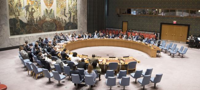 Prevent terrorists profiting from cross-border crime, urges UN Security Council