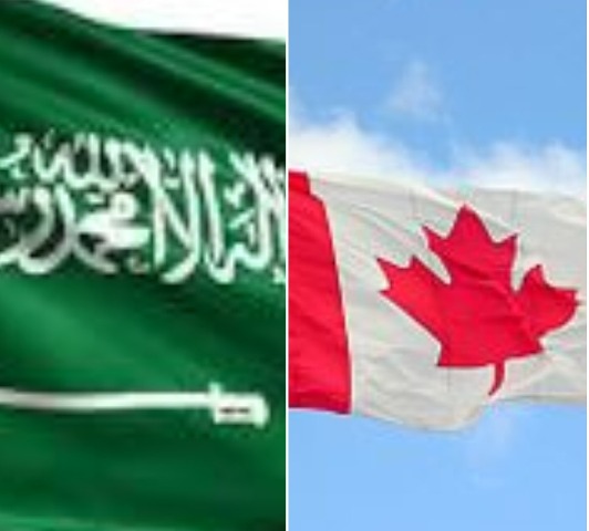 After expelling Canadian ambassador, Saudi Arabia suspends educational programmes