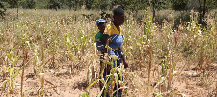 Zimbabwe facing man-made starvation, says UN expert