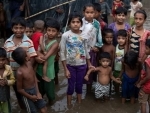 ICC gives greenlight for probe into violent crimes against Rohingya