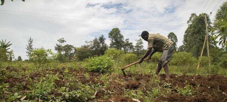 Help African farmers cope with climate change threats, UN food agency urges