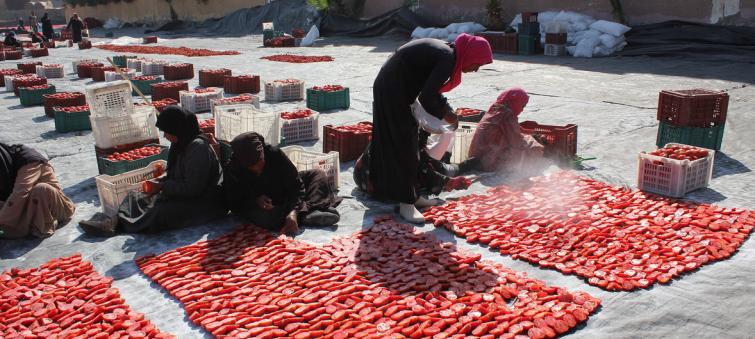 UN agriculture agency chief calls on worldâ€™s mayors to make â€˜global commitments local realitiesâ€™