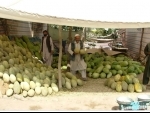 Jobless Afghanistan journalists now selling fruits on Kabul streets