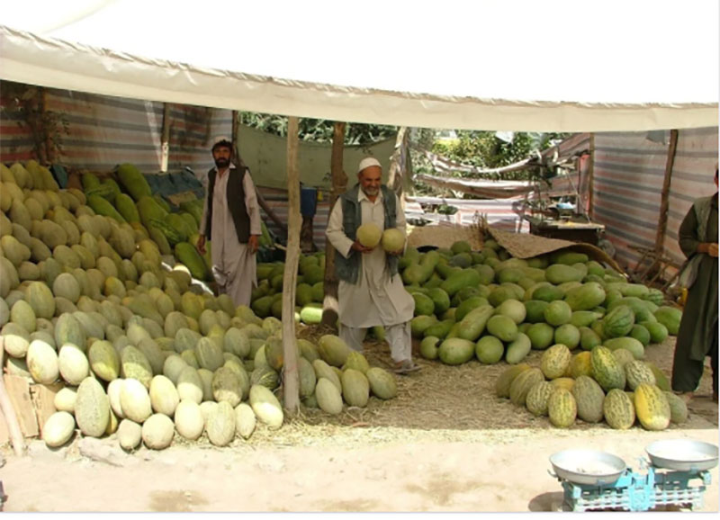 Jobless Afghanistan journalists now selling fruits on Kabul streets