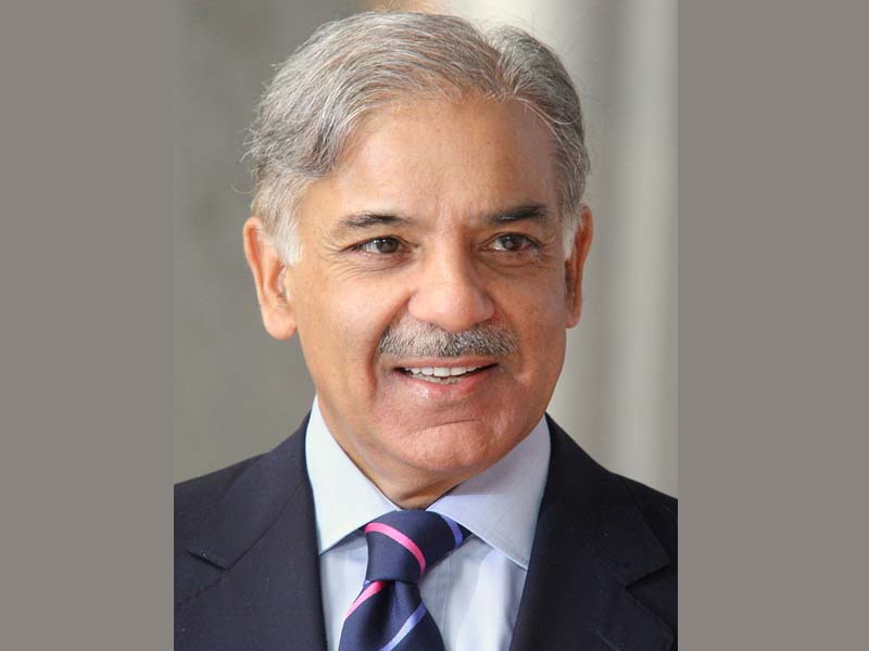 Pakistan Leader of Opposition Shehbaz Sharif released after seven months