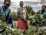 UN spotlights transformational potential of family farming for world food supply