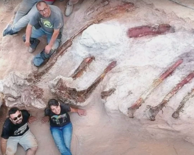 82-ft dinosaur skeleton excavated in Portugal