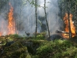 Canada to deploy country's armed forces to help extinguish Quebec fires