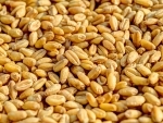 Pakistan: Govt hikes wheat flour price by 62pc in utility stores