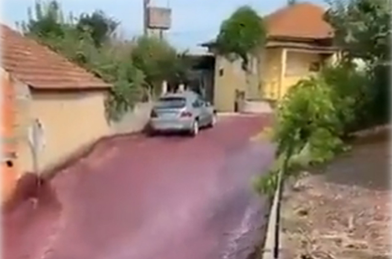 Portugal: River of red wine flows through streets of small town, triggers environmental concerns