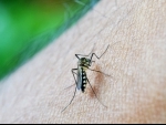 Pakistan: Rawalpindi registers 17 dengue cases in past 24 hours