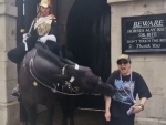 Viral video shows tourist fainting after King's Guard Horse bites her in London while posing for photo