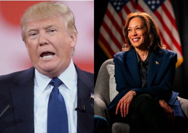 US presidential election: Donald Trump ahead of Kamala Harris in swing states, poll survey predicts