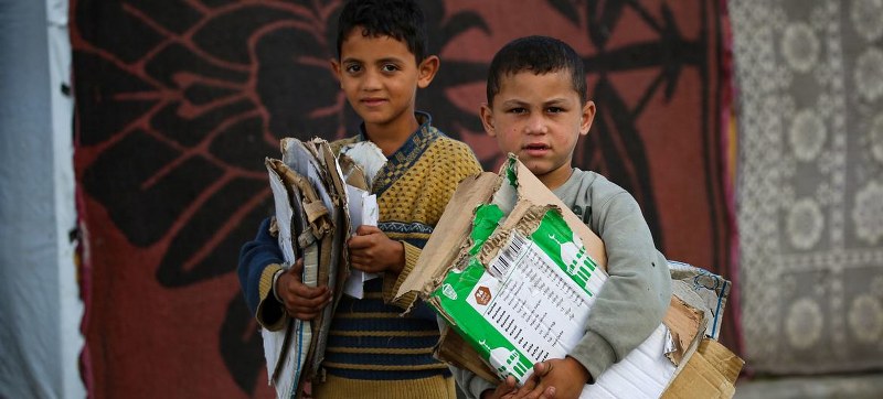 Children now work to ensure families can survive amid Gaza war, says ILO